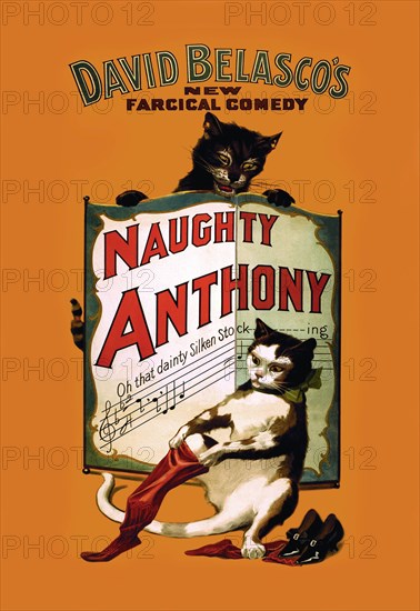 Naughty Anthony 1899