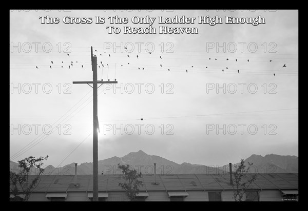 The Cross is the Only Ladder High Enough to Reach Heaven 2005