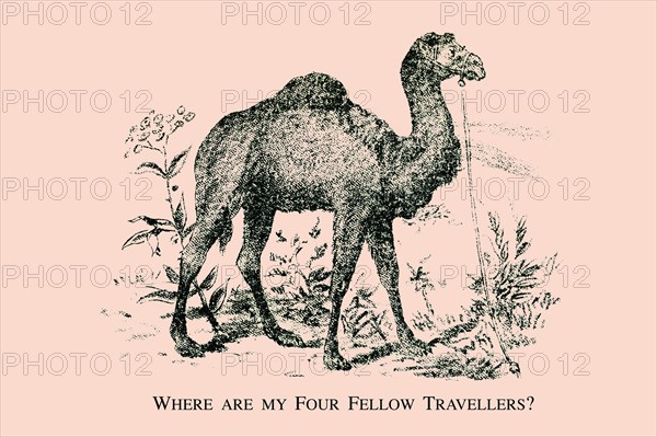 Where are my Four Fellow Travelers? 1880