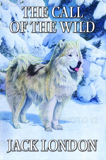 Call of the Wild 2008