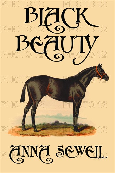 Black Beauty 2008