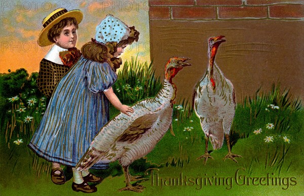 Thanksgiving Greetings