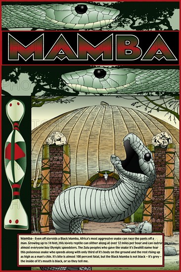 Mamba 2009