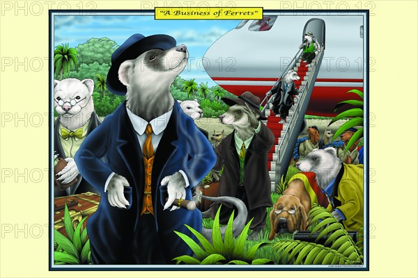 Business of Ferrets 2006