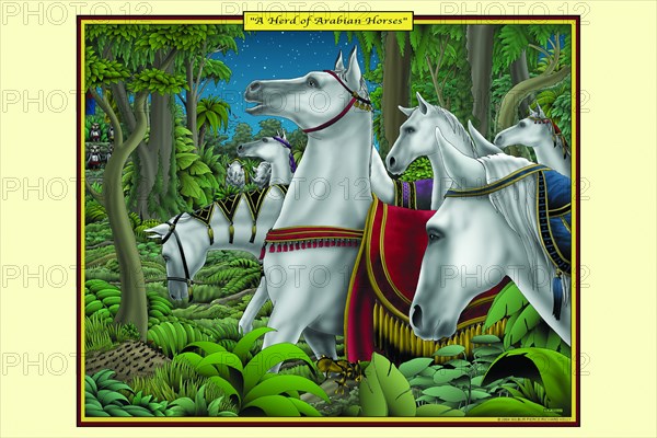 Herd of Arabian Horses 2006