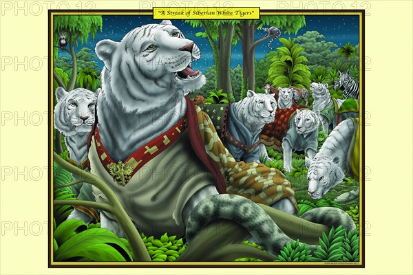 Streak of Siberian White Tigers 2006