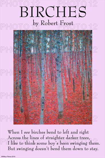 Birches 1916