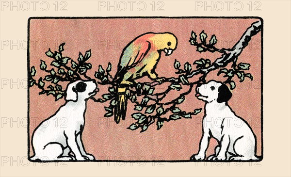 Snip and Snap and the Poll Parrot 1914