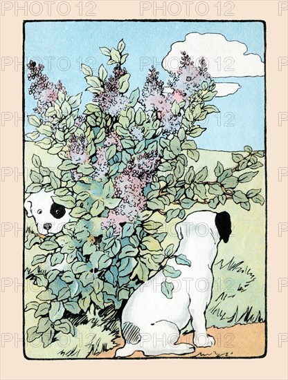 Snip and Snap Play in the Lilac Bushes 1914