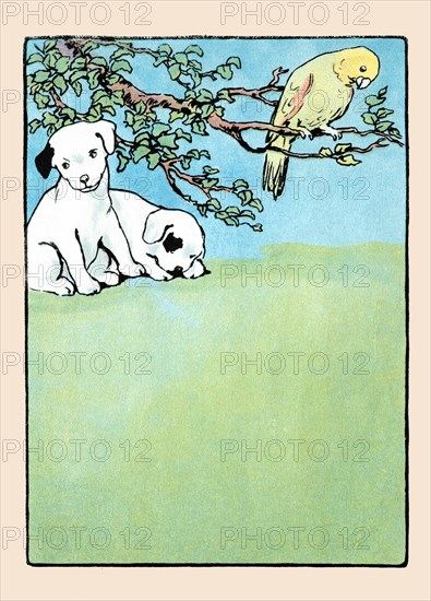 Snip and Snap and Polly Parrot 1914