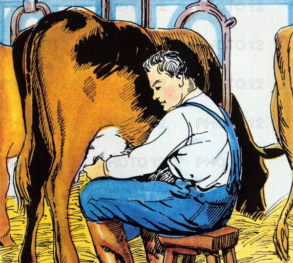 Milking the Cow 1938