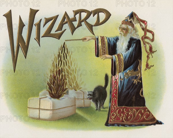 Wizard