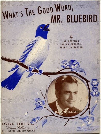 What's the Good Word Mr. Bluebird