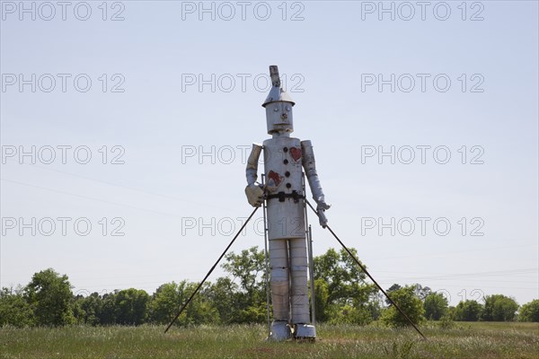 Tin Man of Oz in a Field 2010