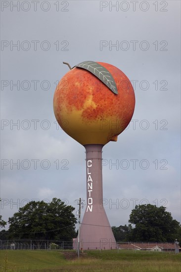 Peach Water Tower 2010