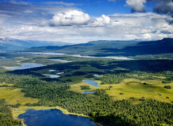 Alpine lakes and forest, Denali National Park, Alaska 2008