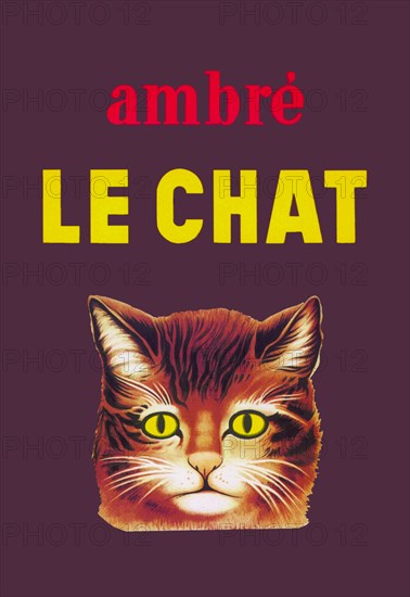 Ambre Le Chat