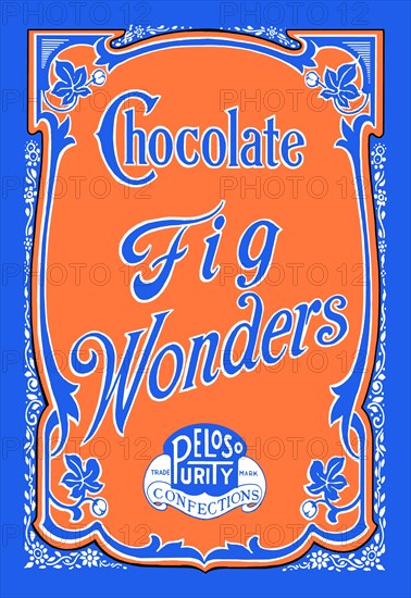 Chocolate Fig Wonders