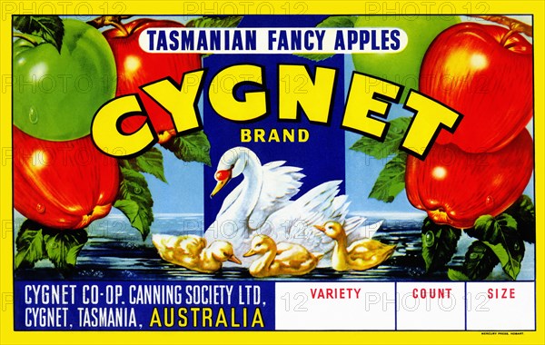 Cygnet Tasmanian Fancy Apples