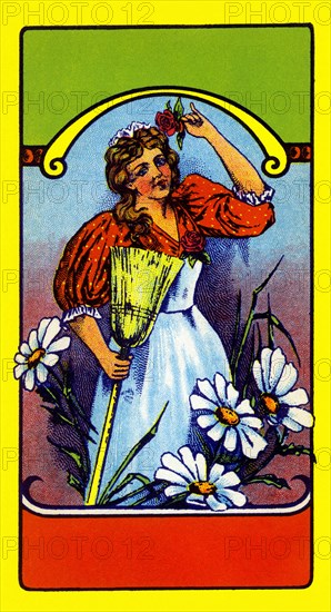 Daisy Maid Broom Label