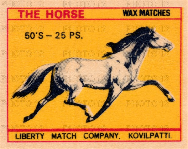 Horse