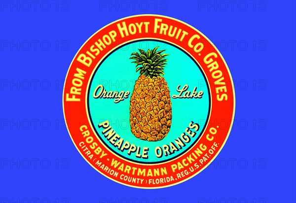 Orange Lake Brand Pineapples