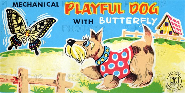 Playful Dog with Butterfly 1950