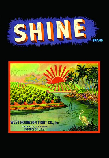 Shine Brand Fruit