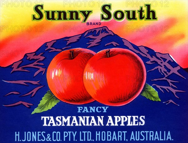 Sunny South Tasmanian Apples