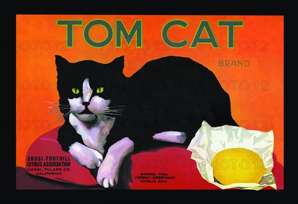 Tom Cat Brand