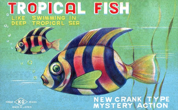 Tropical Fish 1950