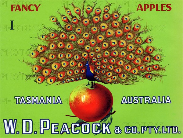 W.D. Peacock Fancy Apples