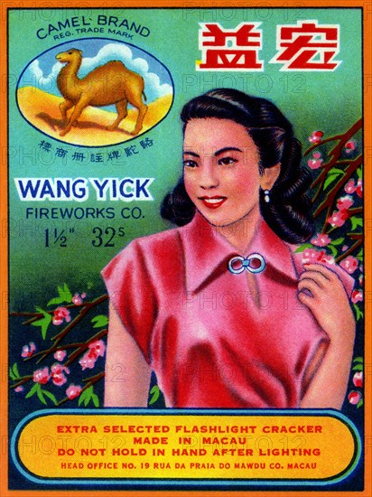 Wang Yick Fireworks