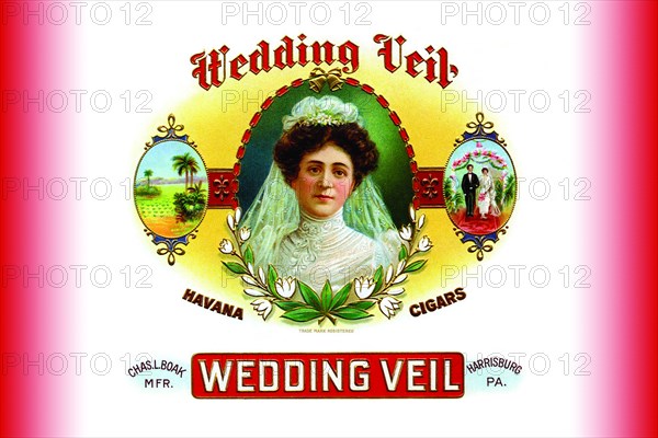 Wedding Veil