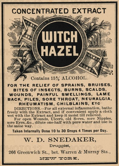 Witch Hazel