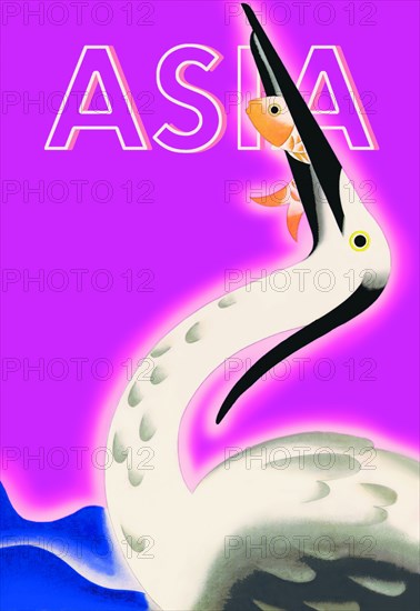 The Fisher Cormorant 1932