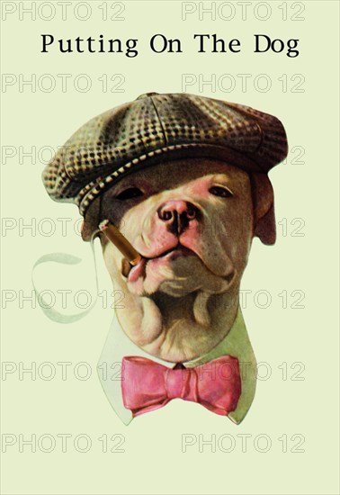 Dog in Hat and Bow Tie Smoking a Cigar