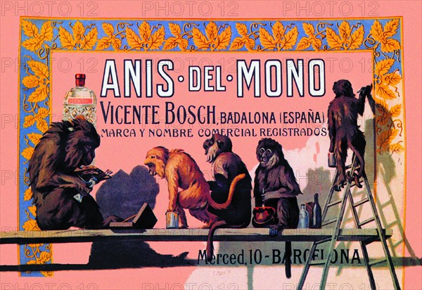 Anis del Mono