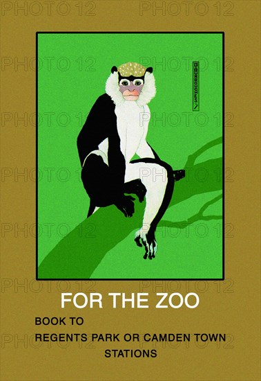 For the Zoo