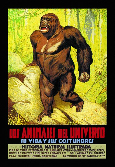 Los Animales del Universo