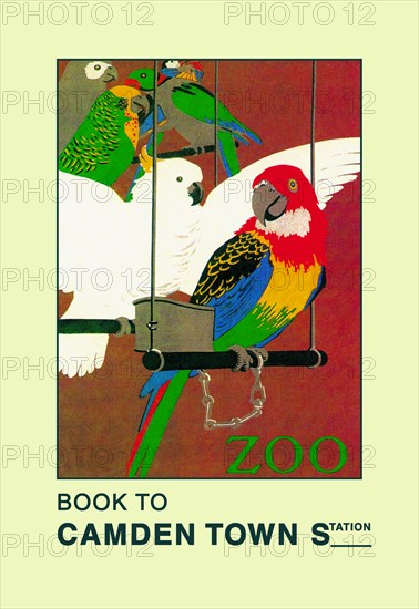 London Zoo: Exotic Birds 1913