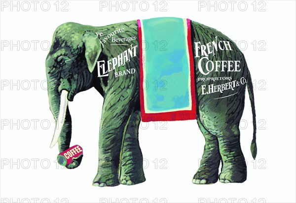 Elephant Brand French Coffee