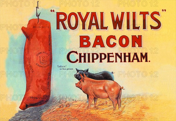 Royal Wilts Bacon 1900