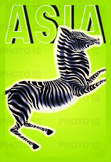 Zebra w/TITLE 1933