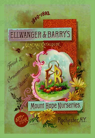 Ellwanger and Barry's General Catalogue
