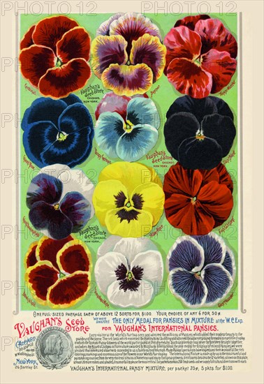 Vaughan's Seed Store - Pansies