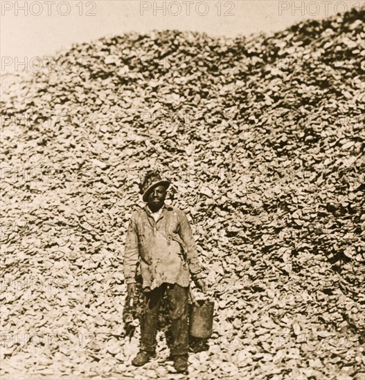 A Virginian oyster Shucker 1896