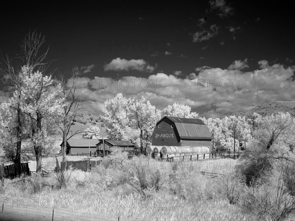 Barn, rural Montana 2007