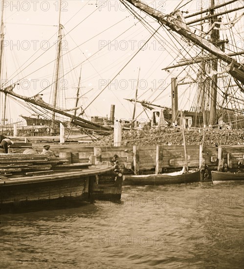 Charleston, South Carolina. View of the wharves near the Battery 1865