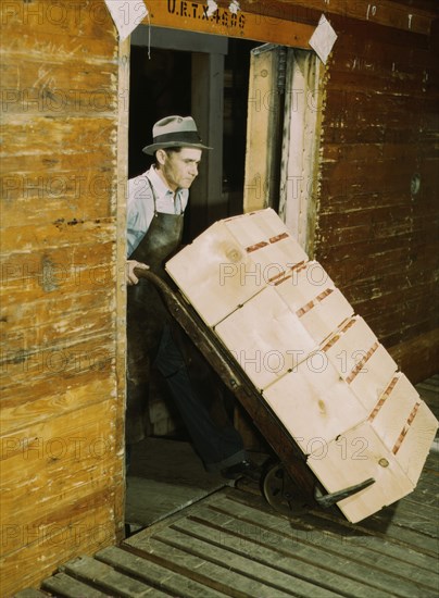 Loading Oranges 1943